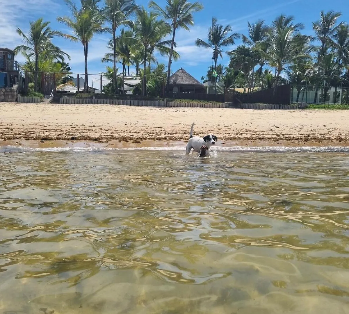 Belissima Casa 2 Suites Beira Mar Em Condominio Com Piscina, Pe Na Areia Porto Seguro